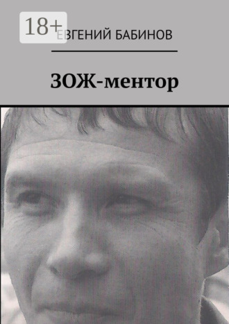 Обложка книги «ЗОЖ-ментор»
