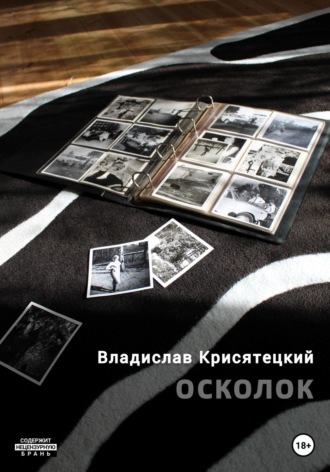 Обложка книги «Осколок»