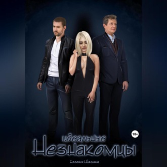 Обложка книги «Идеальные Незнакомцы»
