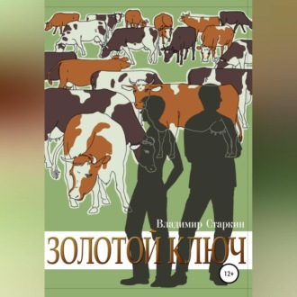 Обложка книги «Золотой ключ»