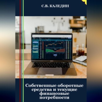 Обложка книги «Собственные оборотные средства и текущие финансовые потребности»
