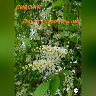 Обложка книги «Пирсинг»