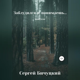 Обложка книги «Заблудился я, понимаешь…»