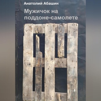 Обложка книги «Мужичок на поддоне»