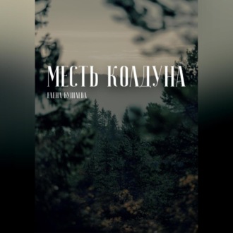 Обложка книги «Месть колдуна»