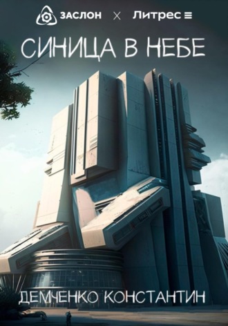 Обложка книги «Синица в небе»