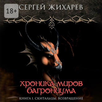 Обложка книги «Хроника миров Багрониума. Книга 1. Скитальцы. Возвращение»