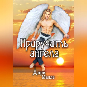 Обложка книги «Приручить ангела»