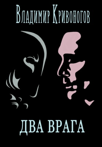 Обложка книги «Два врага»