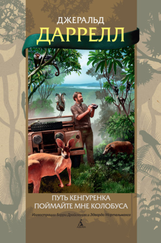 Джеральд Даррелл. Путь кенгуренка. Поймайте мне колобуса