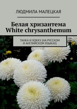 Обложка книги «Белая хризантема. White chrysanthemum. Танка и хокку (на русском и английском языках)»