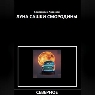 Обложка книги «Луна Сашки Смородины»