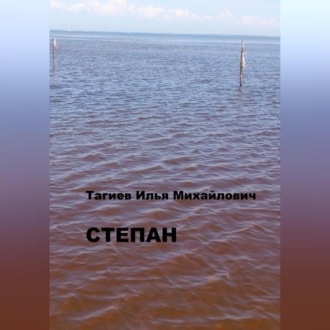 Обложка книги «Степан»