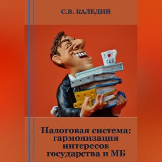 Обложка книги «Налоговая система: гармонизация интересов государства и МБ»