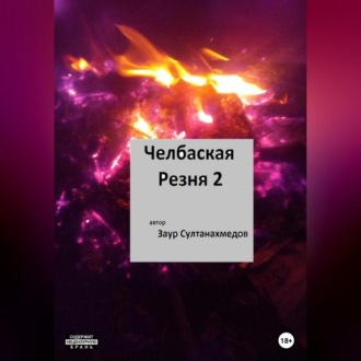 Обложка книги «Челбаская резня 2»