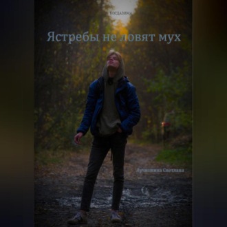 Обложка книги «Ястребы не ловят мух»