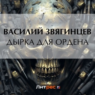 Обложка книги «Дырка для ордена»
