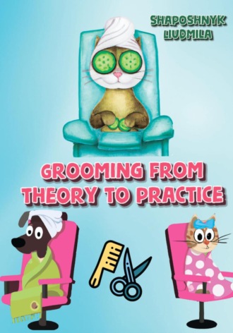 Обложка книги «Grooming from theory to practice»