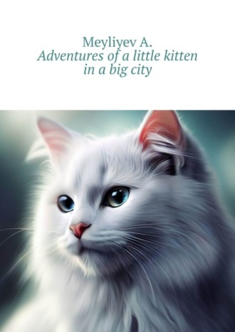 Обложка книги «Adventures of a little kitten in a big city»