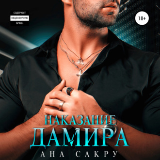 Обложка книги «Наказание Дамира»