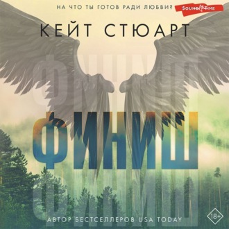 Обложка книги «Финиш»