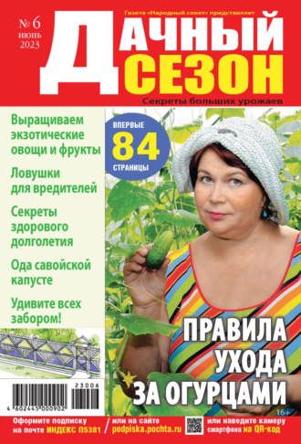 Обложка книги «Дачный сезон №06/2023»
