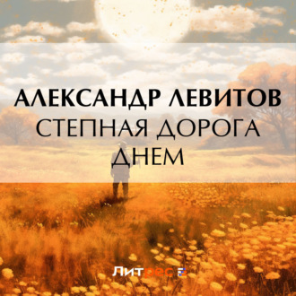 Обложка книги «Степная дорога днем»