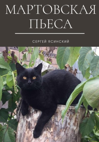 Обложка книги «Мартовская пьеса»