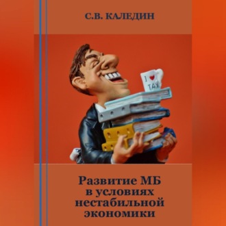 Обложка книги «Развитие МБ в условиях нестабильной экономики»