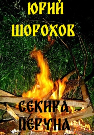 Обложка книги «Секира Перуна»