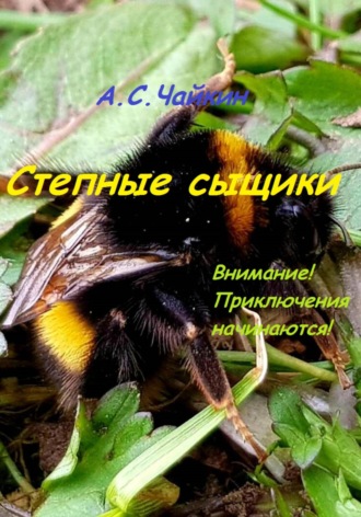 Обложка книги «Степные сыщики»