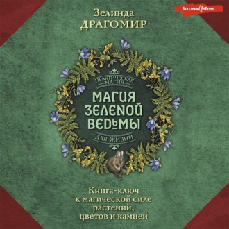 Обложка книги «Магия зеленой ведьмы. Книга-ключ к магической силе растений, цветов и камней»