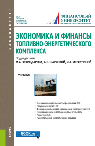 Марина Алексеевна Федотова. Экономика и финансы топливно-энергетического комплекса. (Бакалавриат). Учебник.