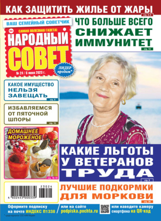 Обложка книги «Народный совет №24/2023»