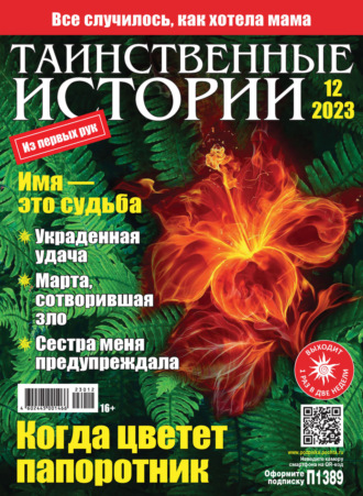 Обложка книги «Таинственные истории №12/2023»