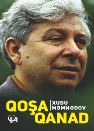Обложка книги «Qoşa qanad»