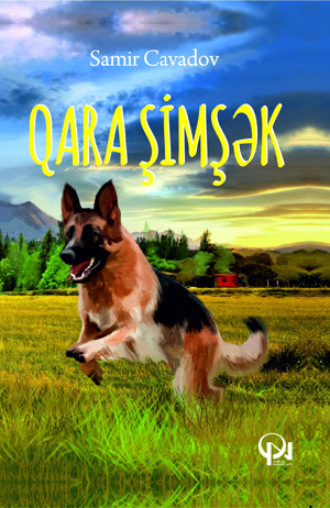 Обложка книги «Qara Şimşək»
