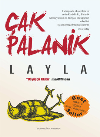 Обложка книги «Layla - Çak Palanik»
