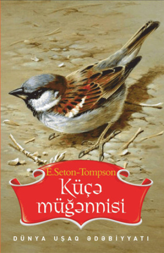 Обложка книги «KÜÇƏ MÜĞƏNNİSİ»