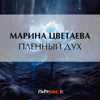 Обложка книги «Пленный дух»