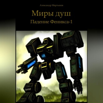 Обложка книги «Миры душ. Падение Феникса-1»