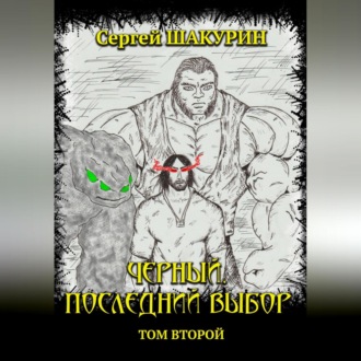 Обложка книги «Черный. Последний выбор. Том второй»