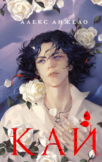 Обложка книги «Кай»