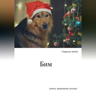 Обложка книги «Бим»
