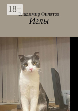 Владимир Филатов. Иглы