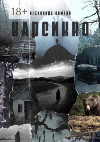 Обложка книги «Карсикко»