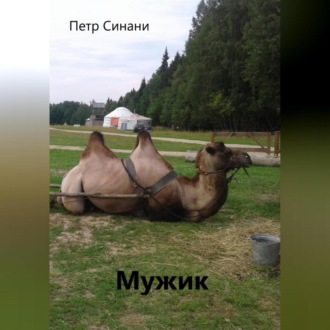 Обложка книги «Мужик»