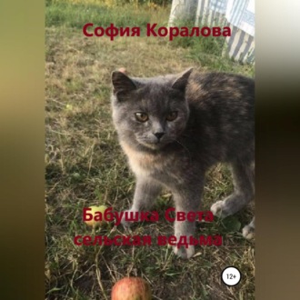 Обложка книги «Бабушка Света, сельская ведьма»