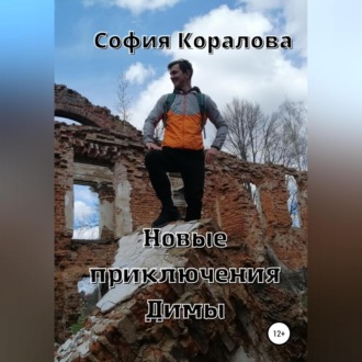 Обложка книги «Новые приключения Димы»
