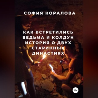 Обложка книги «Как встретились ведьма и колдун. История о двух старинных династиях»
